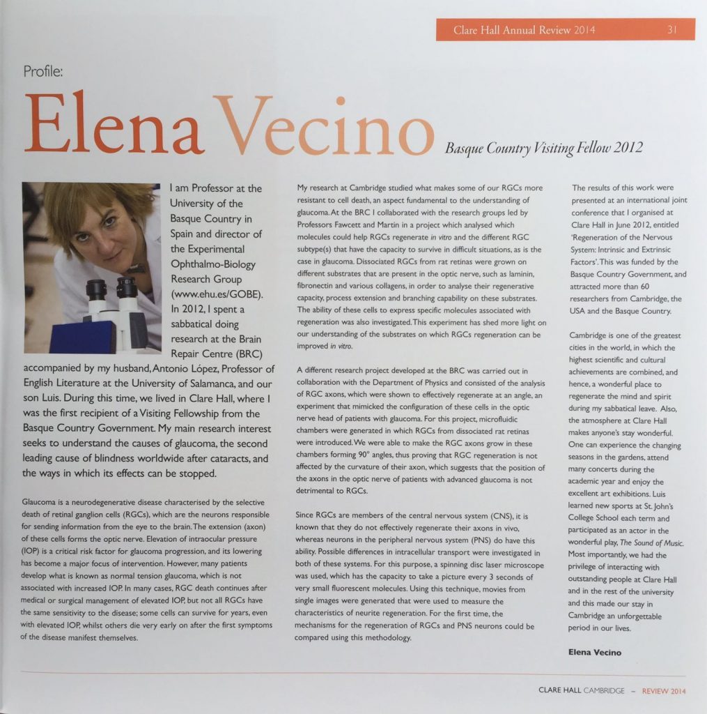 Perfil Elena Vecino